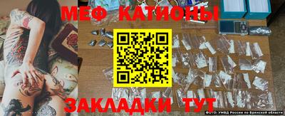 крисы Шахты