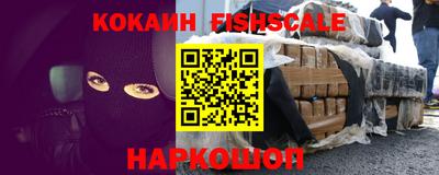 крисы Шахты