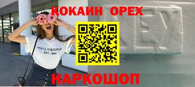 молекула духа Шелехов