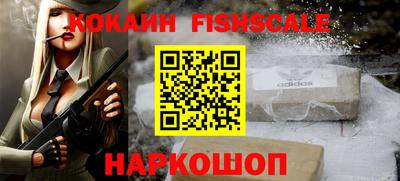 крисы Шахты