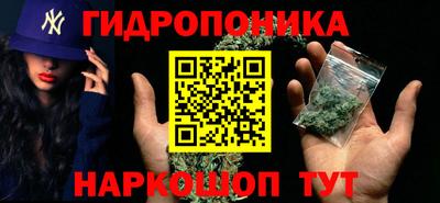 молекула духа Шелехов