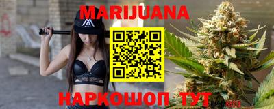 крисы Шахты