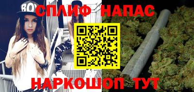 крисы Шахты