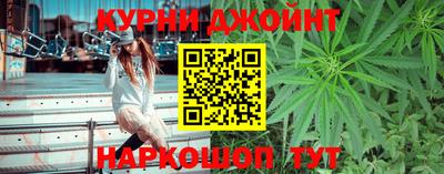 крисы Шахты