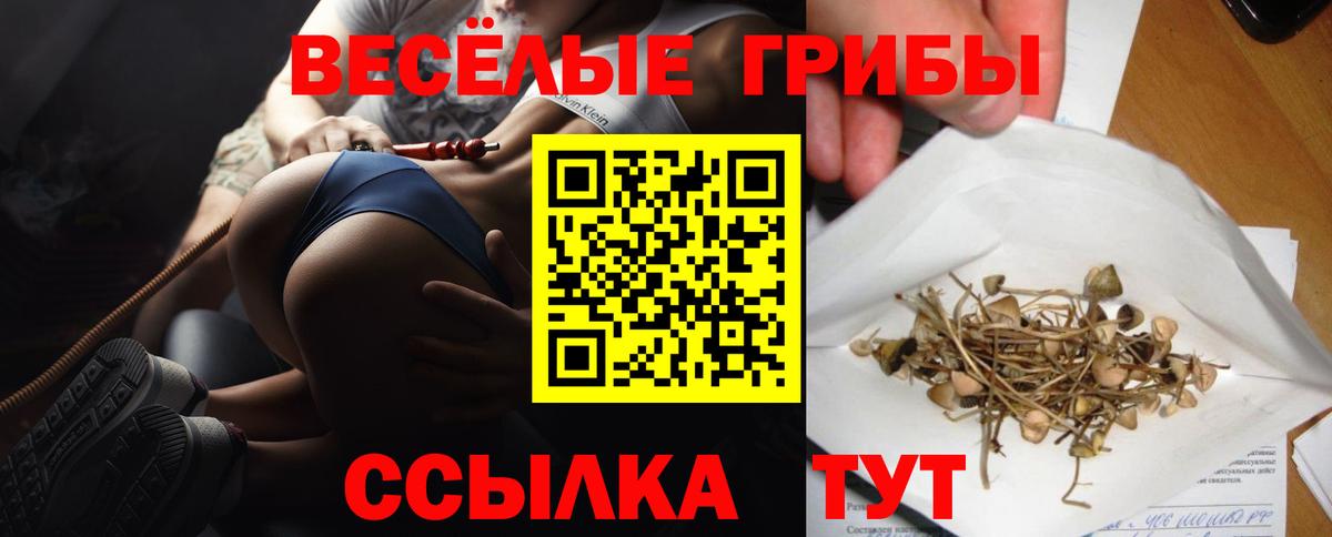 Камышин  Галлюциногенные грибы Psilocybe  Вход с VPN 